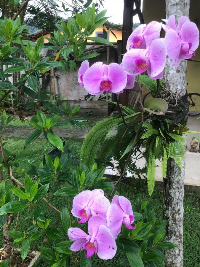 Casa Parabens! Sertao do Taquari ภายนอก รูปภาพ